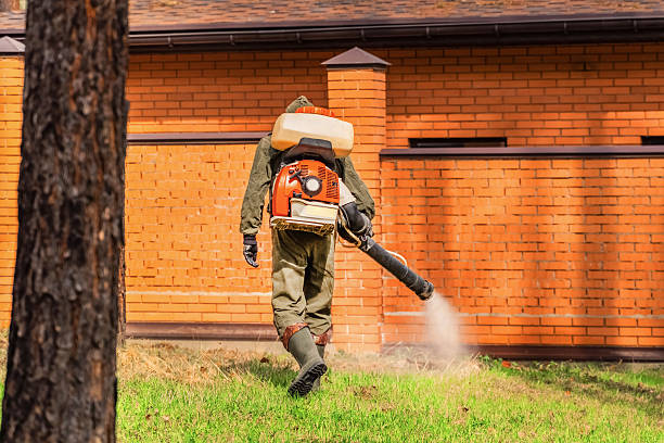 Bed Bug Clearance Verification and Documentation in Diamondhead